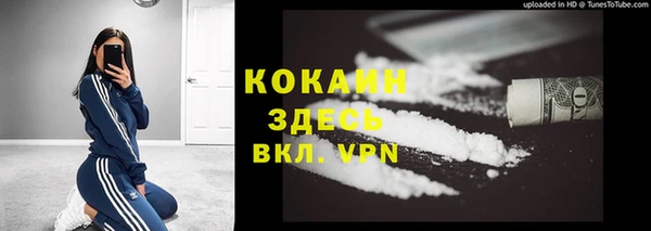 шишки Михайловка